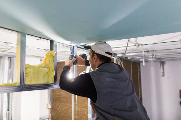 Best Insulation Maintenance and Repair in Buhl, ID